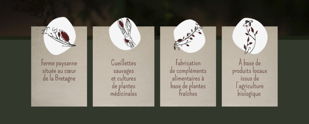 Cueillettes et Potions – Site Internet