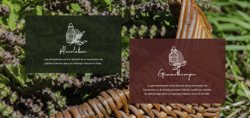 Cueillettes et Potions – Site Internet