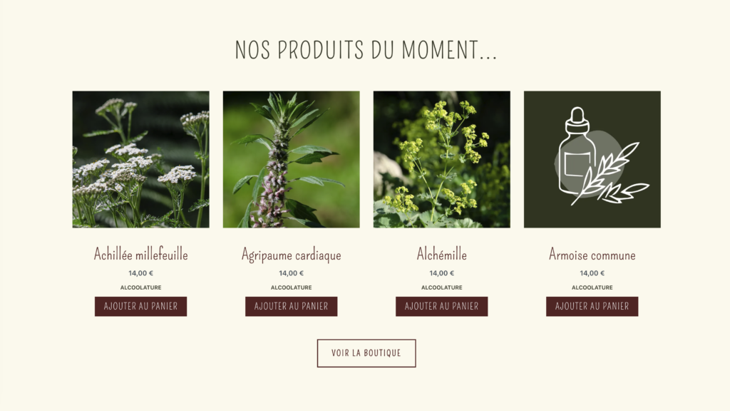 Cueillettes et Potions – Site Internet